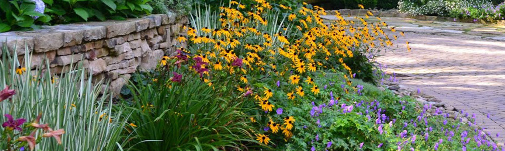 Joy Garden Tour